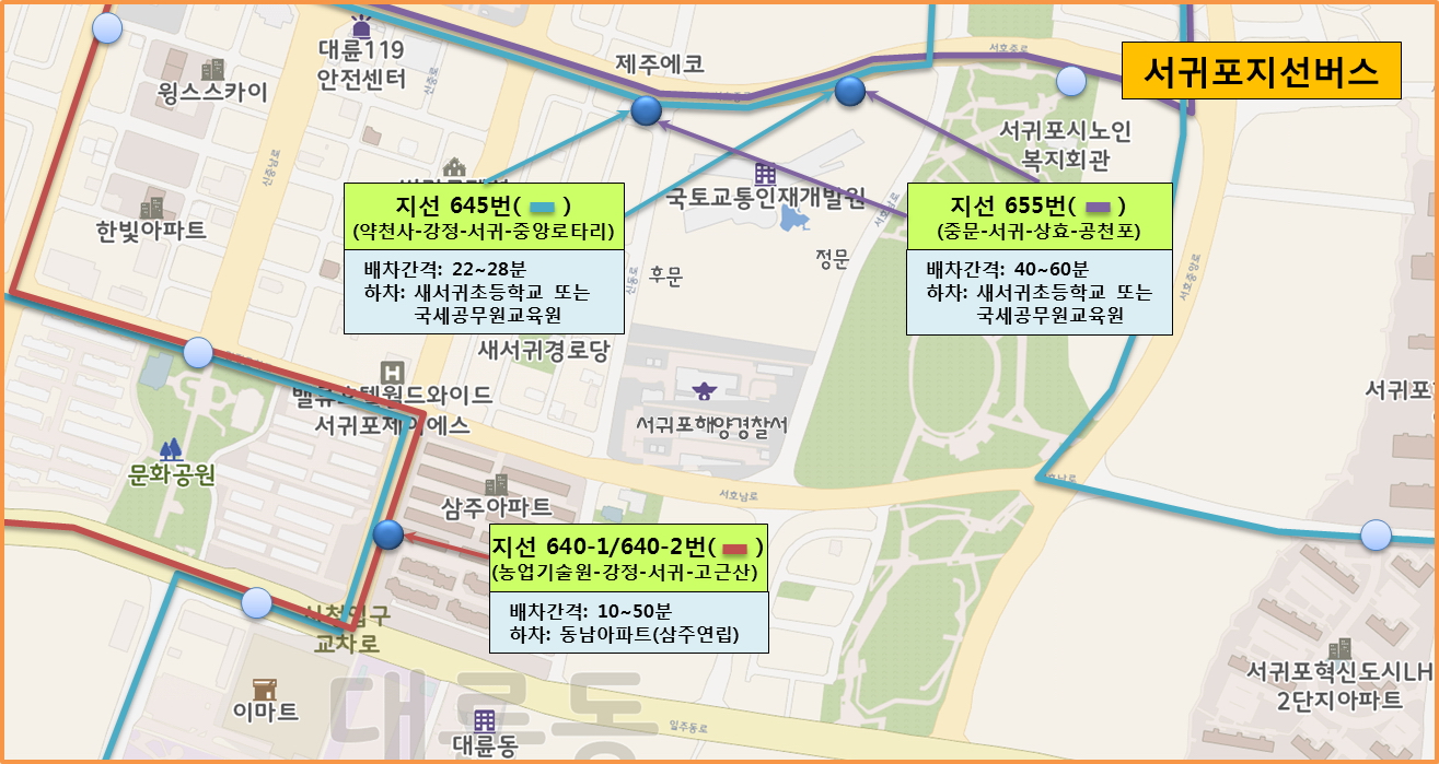 서귀포지선버스(640-1번/640-2번/645번/655번) 이용