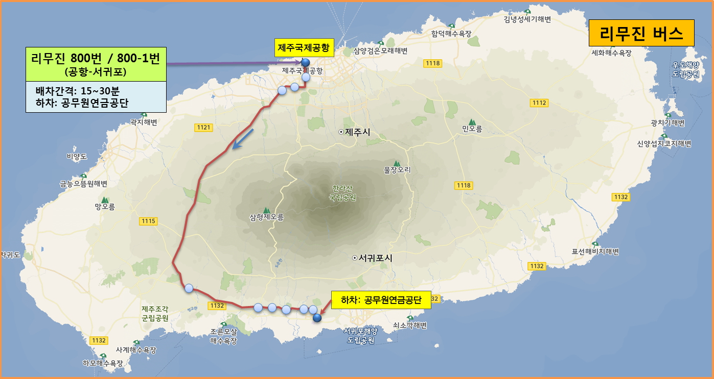 리무진버스(800번/800-1번) 이용